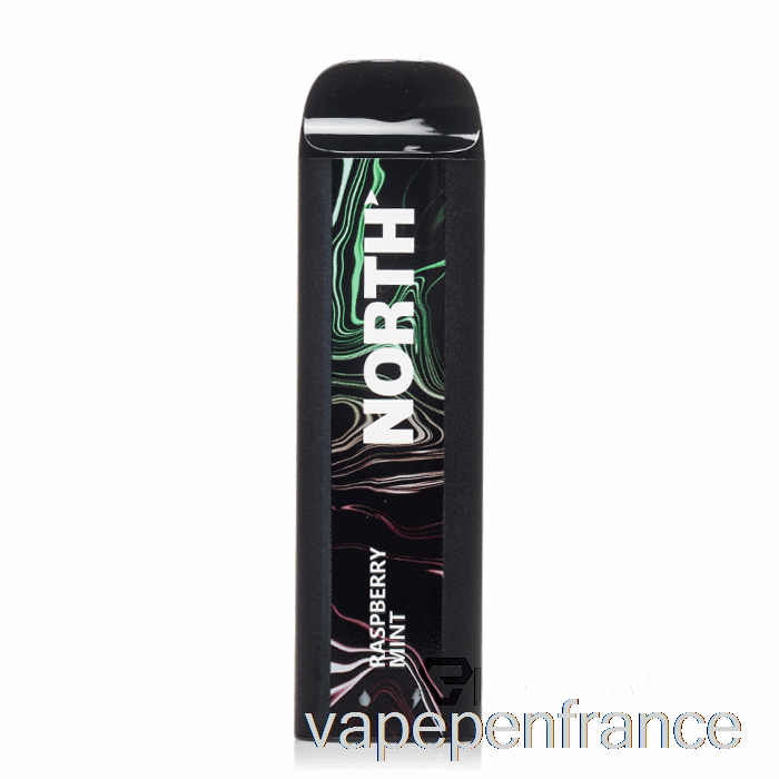Stylo Vape Jetable à La Menthe Et à La Framboise North 5000